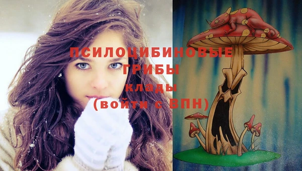эйфоретик Зеленокумск