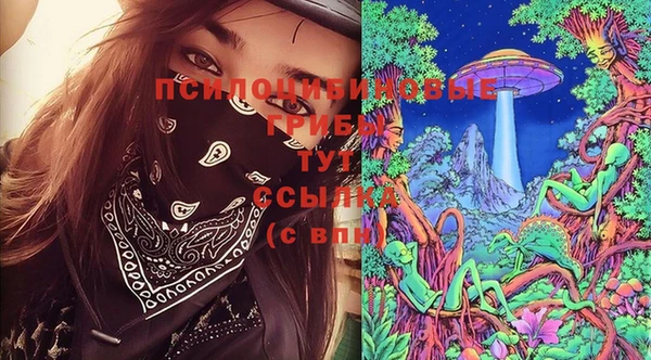 МДПВ Инсар
