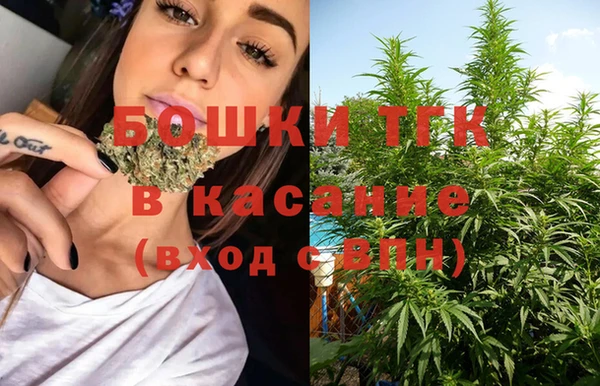 МДПВ Инсар