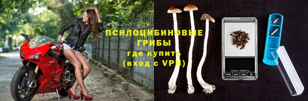 эйфоретик Зеленокумск